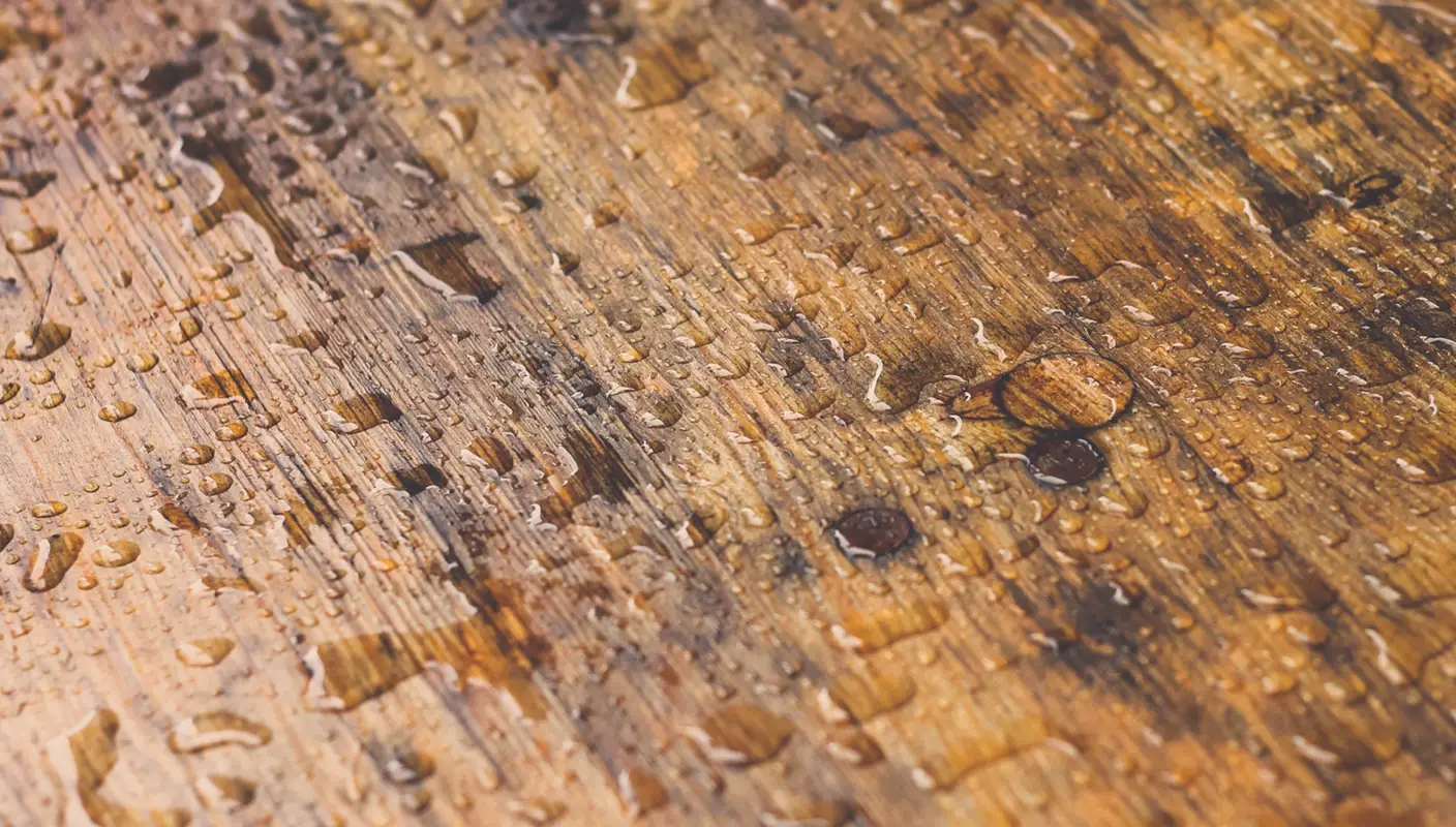Piece of wood covered in rain drops.