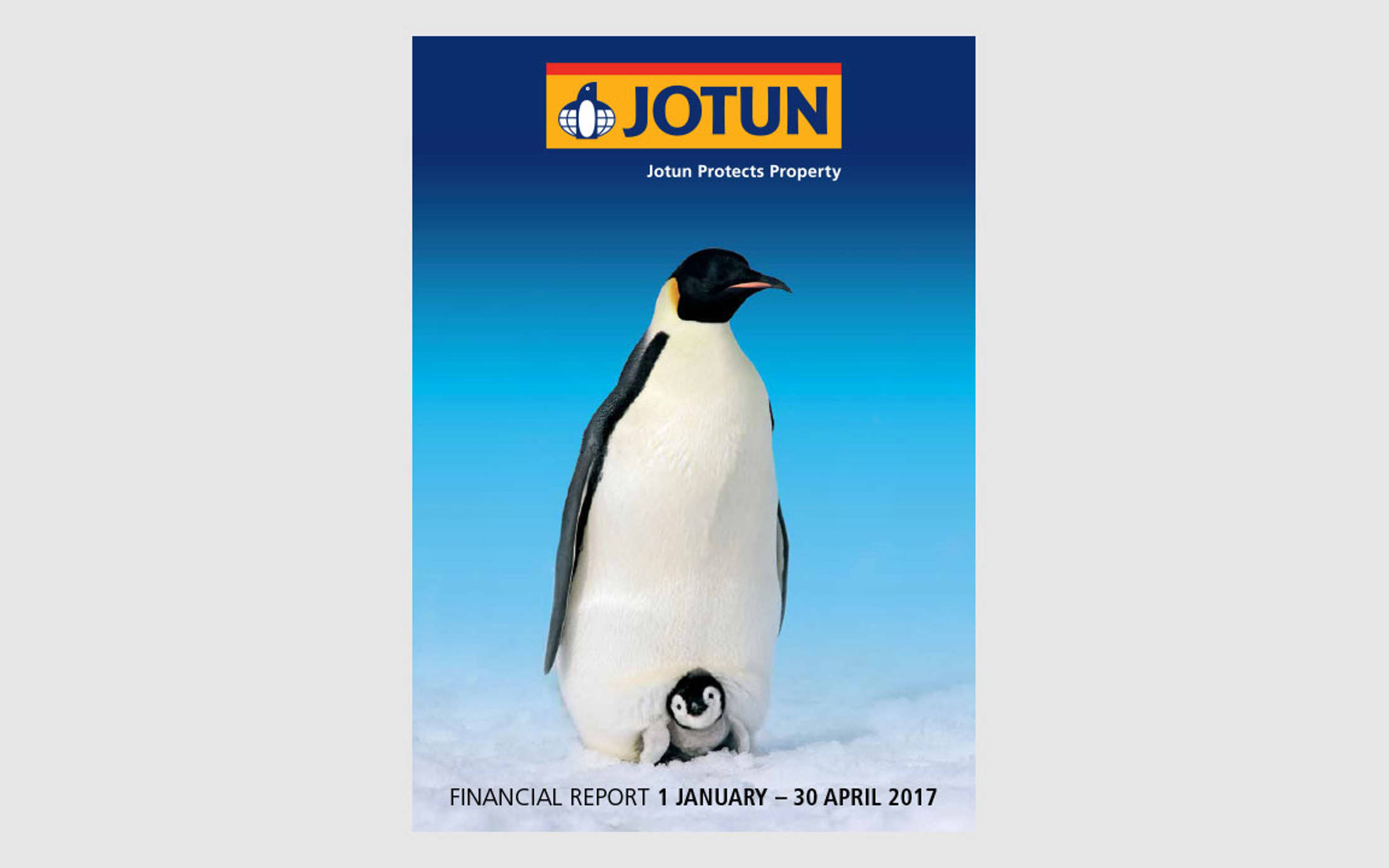 Financial Report 1 2017